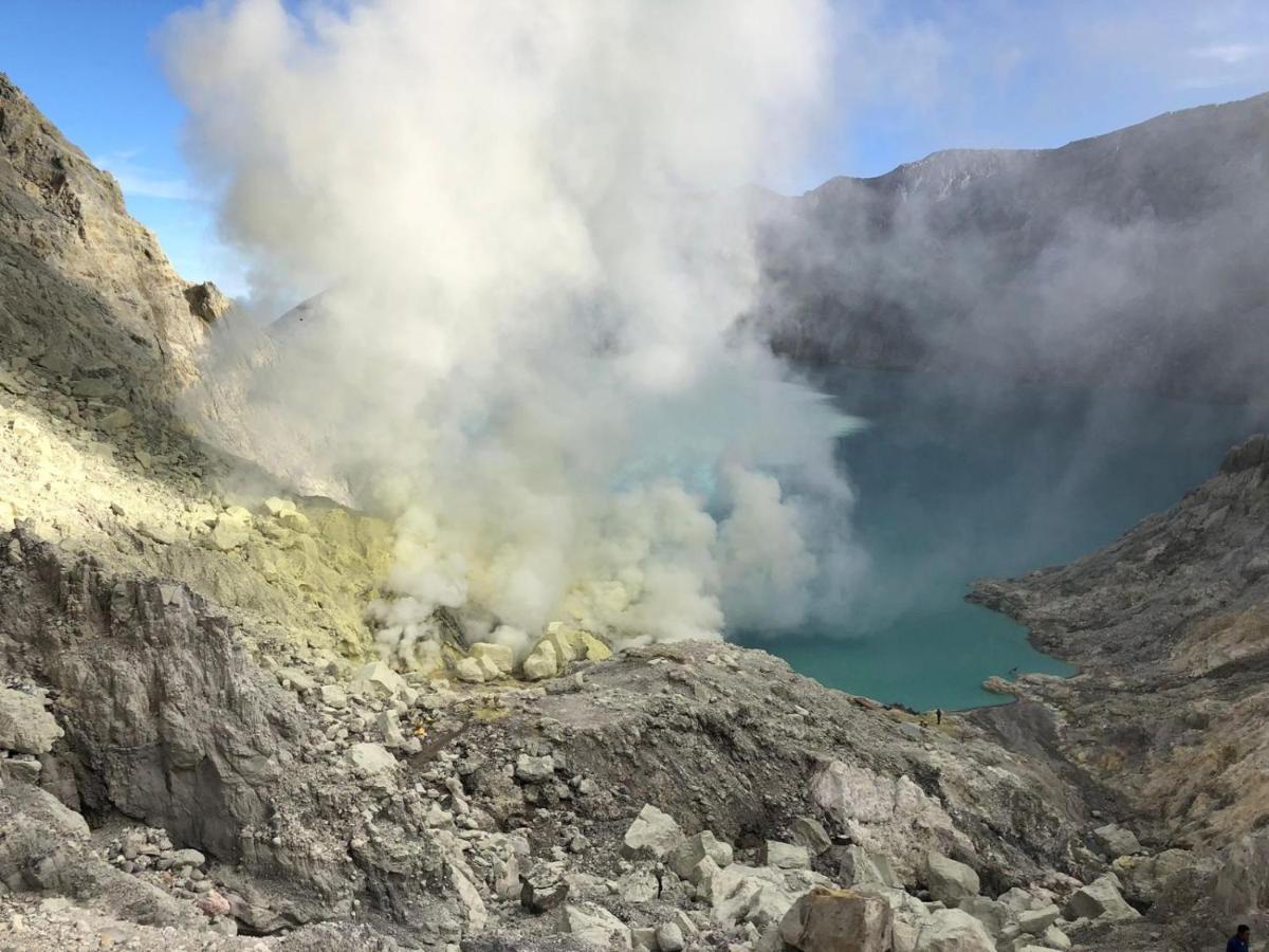 Dannu'S Homestay Ijen And Bromo Tour Баньюванги Экстерьер фото